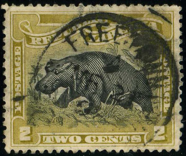 Pygmy Hippopotamus (Choeropsis liberiensis)