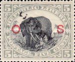 African Elephant (Loxodonta africana)