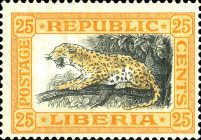 Leopard (Panthera pardus)