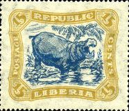 Hippopotamus (Hippopotamus amphibius)