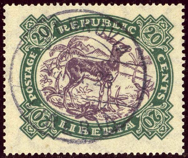 Red-fronted Gazelle (Gazella rufifrons)
