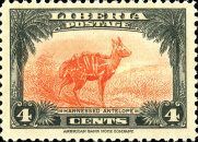 Harnessed Antelope(Tragelaphus scriptus)