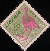 African Jacana (Actophilornis africanus)