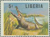 Slender-snouted Crocodile (Crocodylus cataphractus)