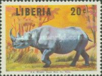 Black Rhinoceros (Diceros bicornis)