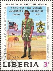 Boy scout, emblem and US flag