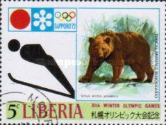Ski Jumping, Brown Bear (Ursus arctos)