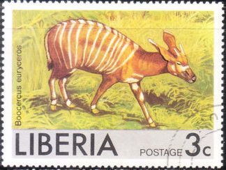 Bongo (Boocercus eurycerus)