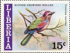 Purple Roller (Coracias naevius)