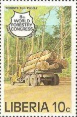 Truck Carrying Timber