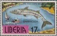 Lake Piso, Guinean Barracuda (Sphyraena afra)
