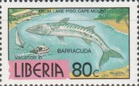 Lake Piso, Guinean Barracuda (Sphyraena afra)