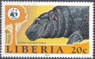 Pygmy Hippopotamus (Choeropsis liberiensis)