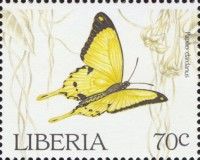 African Swallowtail (Papilio dardanus)