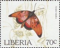 Natal Acraea (Acraea natalica)