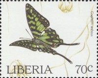 Large Striped Swordtail (Graphium antheus)