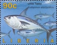 Little Tunny (Euthynnus alletteratus)