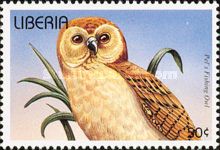 Pel's Fishing Owl (Scotopelia peli)