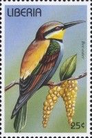 European Bee-eater (Merops apiaster)