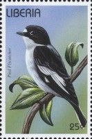 European Pied Flycatcher (Ficedula hypoleuca)