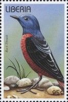 Common Rock Thrush (Monticola saxatilis)