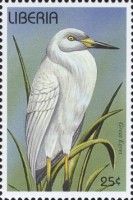 Great Egret (Ardea alba)