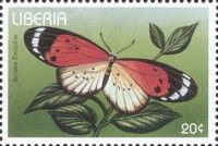 Common Acraea (Acraea encedon)