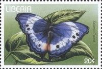 Western blue Beauty (Salamis cytora)