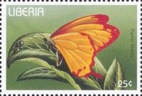Noble Swallowtail (Papilio nobilis)