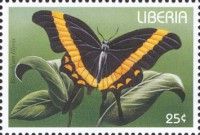 Cream-banded Swordtail (Graphium illyris)