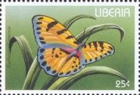 True Forester (Euphaedra cyparissa)
