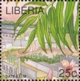 Date Palm (Phoenix dactylifera)