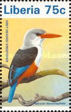 Grey-headed Kingfisher (Halcyon leucocephala)