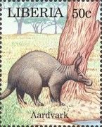 Aardvark (Orycteropus afer)