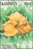 Creative Art Daylily (Hemerocalis hybrid)