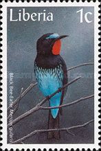 Black Bee-Eater (Merops gularis)