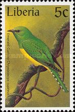 African Emerald Cuckoo (Chrysococcyx cupreus)