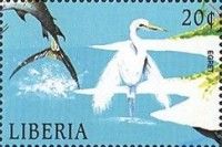 Great Egret (Casmerodius albus)