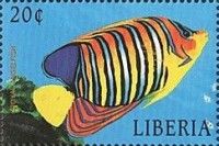 Angelfish (Pomacanthus imperator)