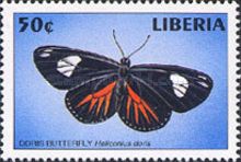 The Doris (Heliconius doris)