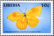 Orange-Barred Sulphur (Phoebis philea)