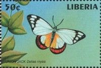 Union Jack (Delias mysis)
