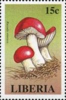 Russula emetica
