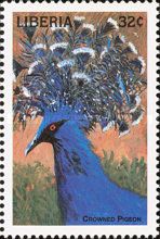 Victoria Crowned Pigeon (Goura victoria)