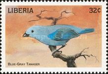 Blue-Gray Tanager (Thraupis episcopus)