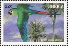 Great Green Macaw (Ara ambiguus)