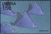 Spotted Eagle Ray (Aetobatus narinari)