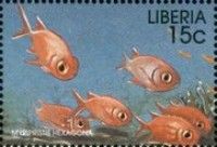 Doubletooth Soldierfish (Myripristis hexagona)