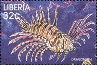 Dragonfish (Pterois sp.)