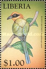 Rufous Motmot (Baryphthengus martii)